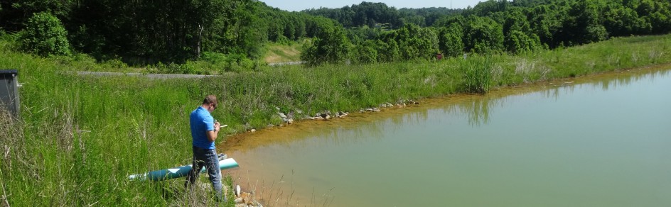 02 - DSC01165 slideshow